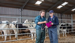 South Ayrshire: Staying ahead of TB